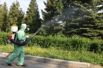 Уничтожение комаров в Дмитрове